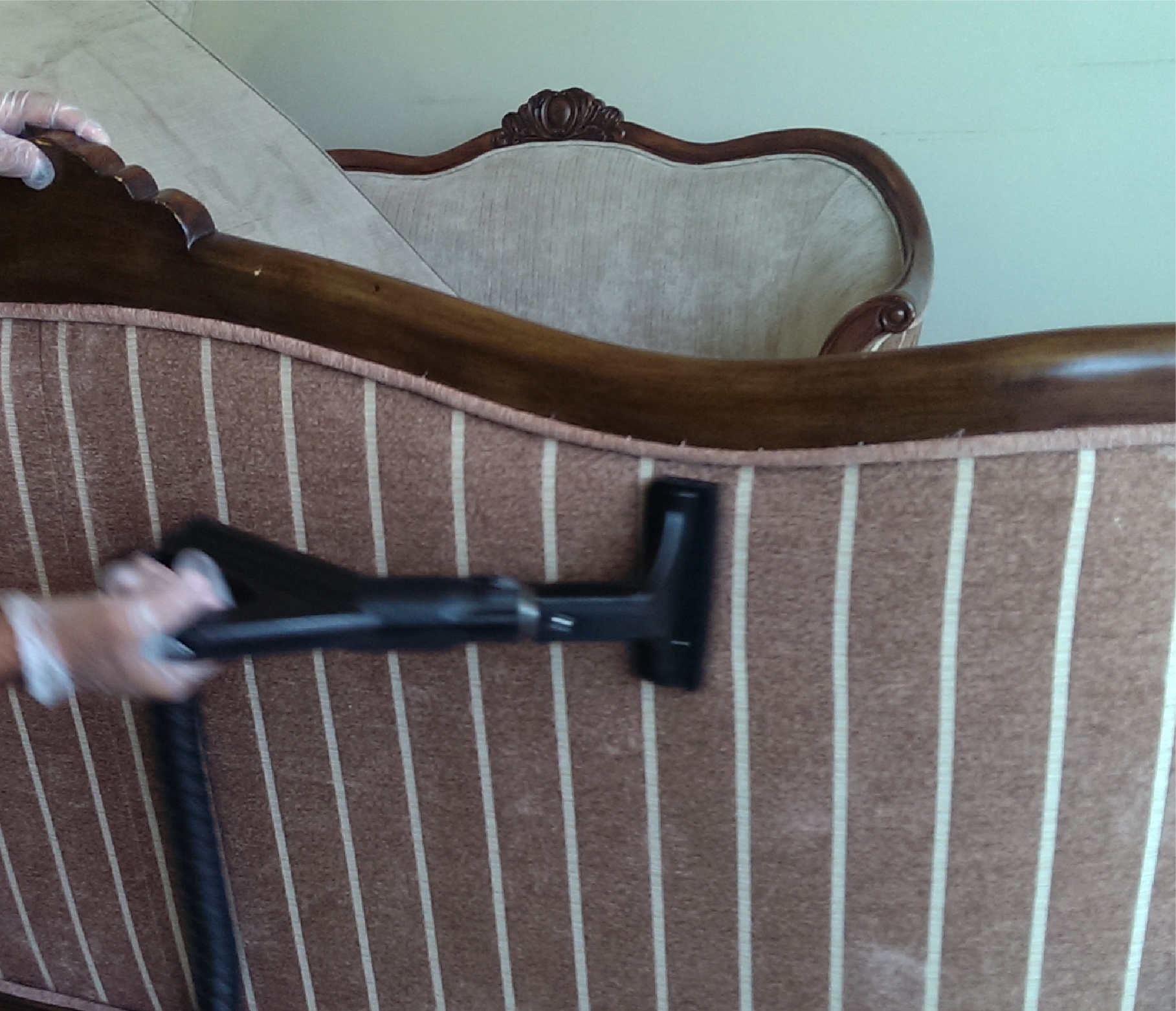 sofa_shampoo1.jpg